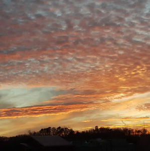 Meet your Posher, Gina